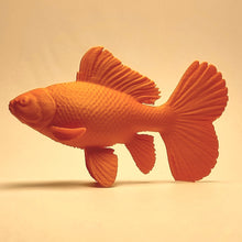 Bristol Shubunkin Goldfish – 3D-Printed Ornament
