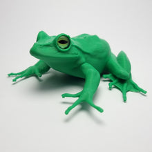 Realistic Green Frog – 3D-Printed Ornament with Glass Eyes