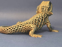 Bearded Dragon Decorative Model