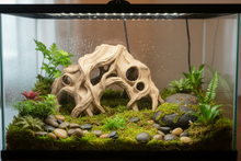 Mossy Root Aquarium & Terrarium Hide