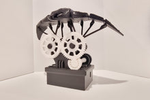 Manta Ray Automation (Manual)