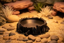 Rock Cave Reptile Feeding Bowl