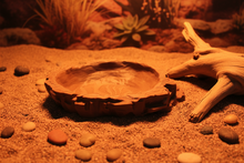 Rocky Outcrop Reptile Feeding Dish